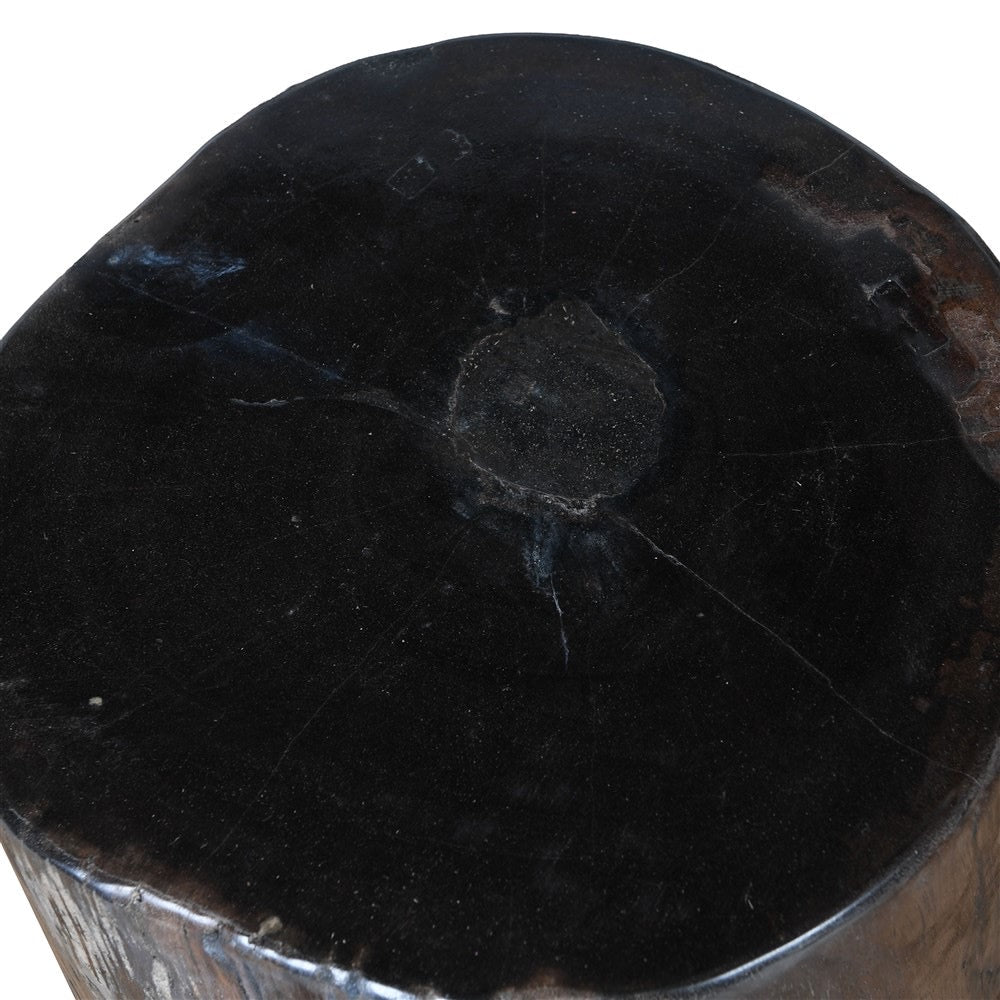 Petrified Wood Side Table - Dark Wood - BARNBURY
