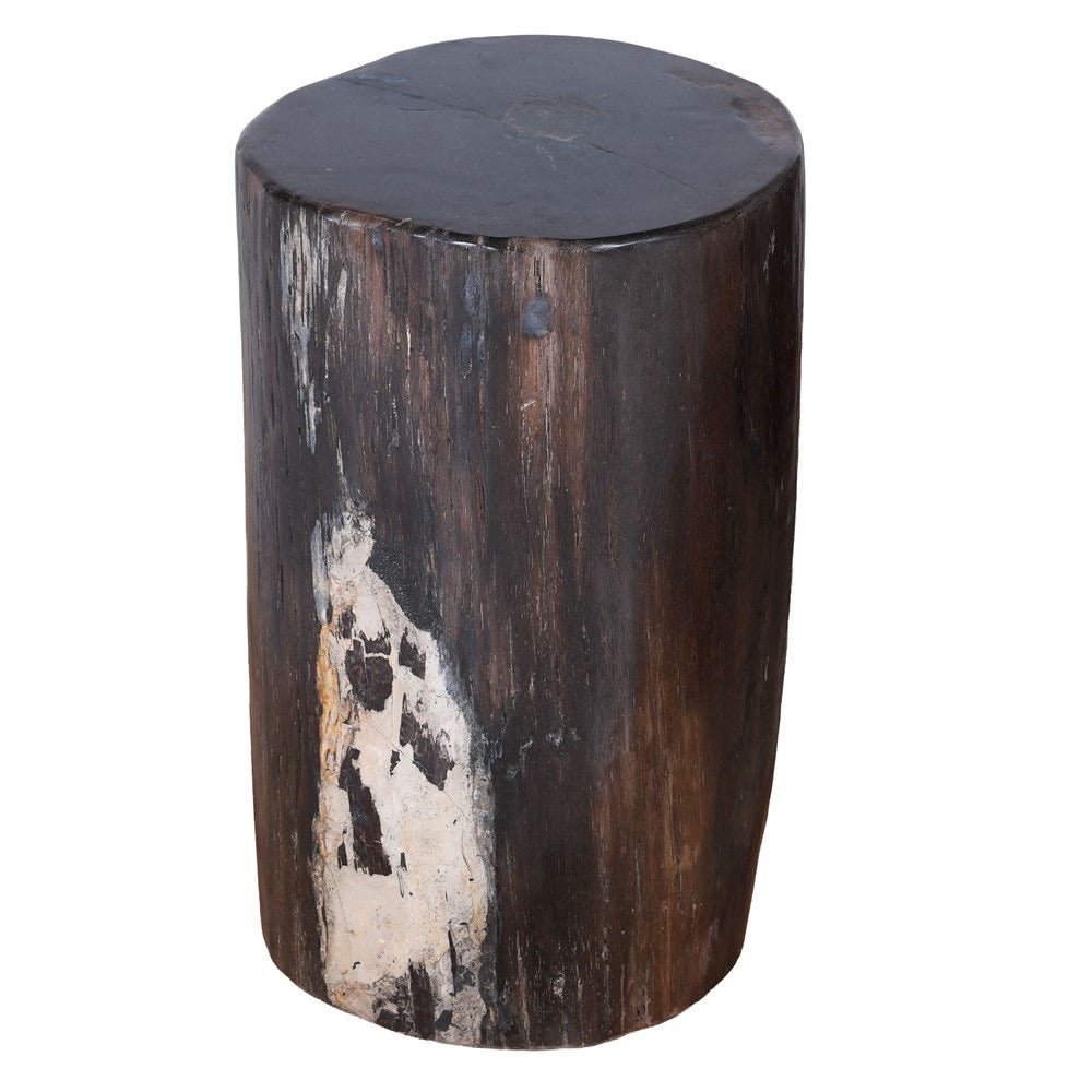 Petrified Wood Side Table - Dark Wood - BARNBURY