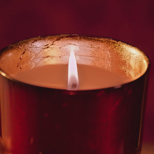 Cire Trudon Gloria Scented Candle - Barnbury