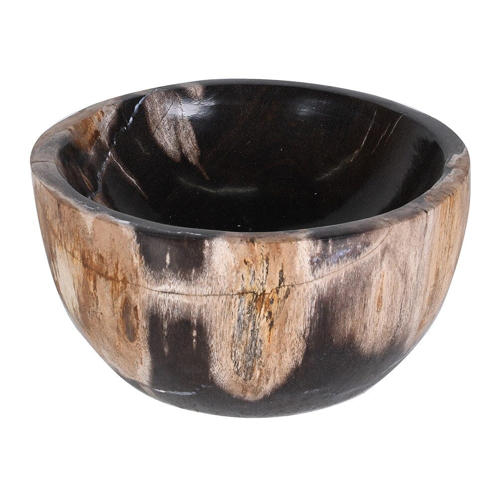 Small Petrified Wood Bowl Home Decor BARNBURY 