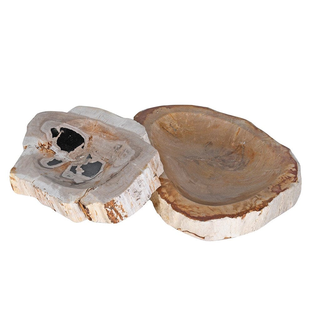 Small Petrified Wood Dish - BARNBURY