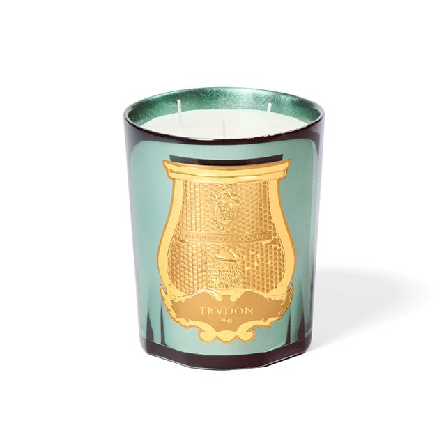 Trudon La Nuit des Glaces – Fir Scented Candle - BARNBURY