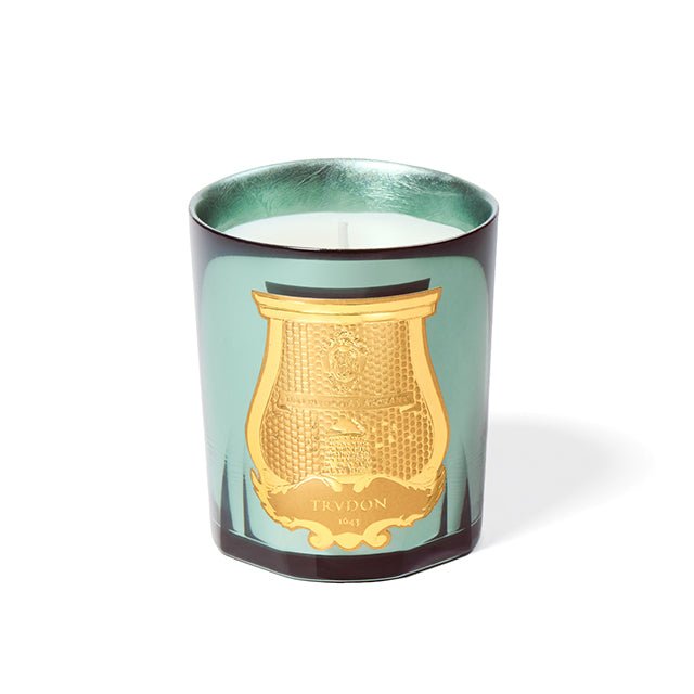 Trudon La Nuit des Glaces – Fir Scented Candle - BARNBURY