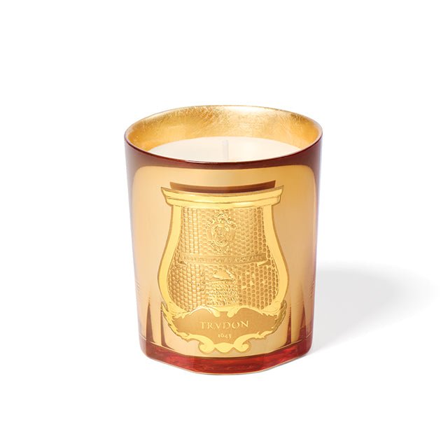 Trudon La Nuit des Glaces – Galerie des Flammes Scented Candle - BARNBURY