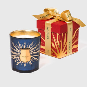 Cire Trudon Fir Scented Candle - Barnbury