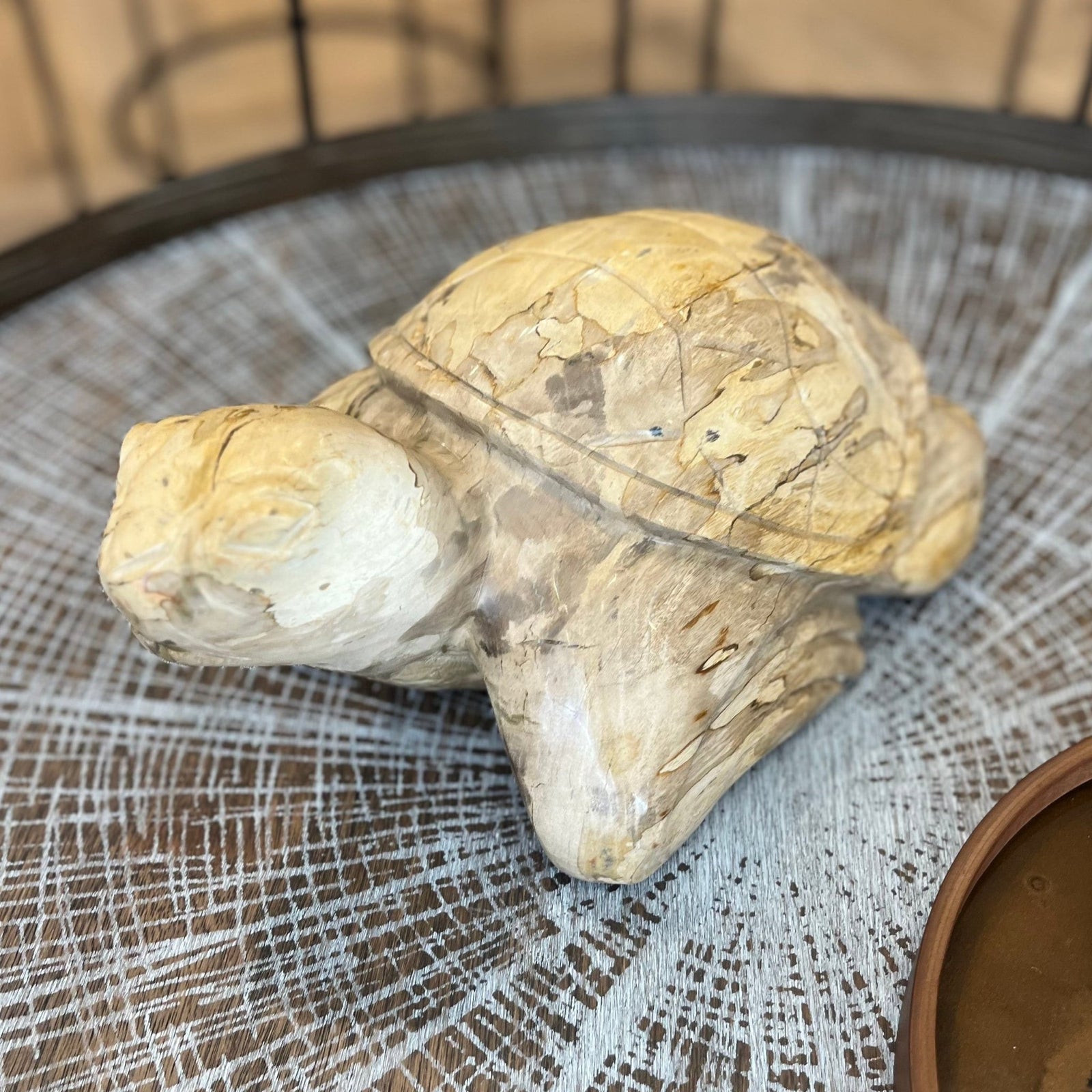 Unique Carved Petrified Wood Tortoise - BARNBURY