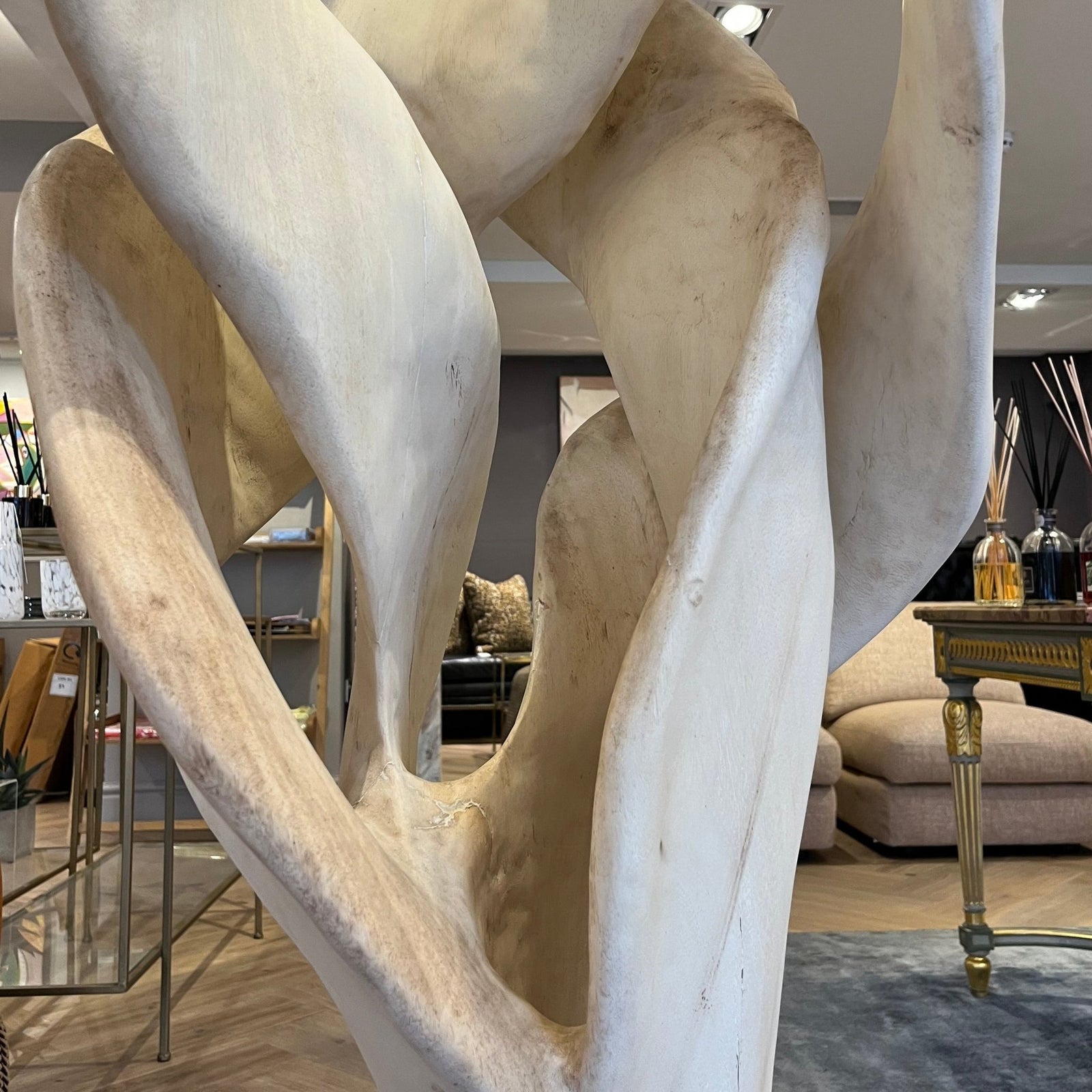 XL Suar Tree Root Sculpture - BARNBURY