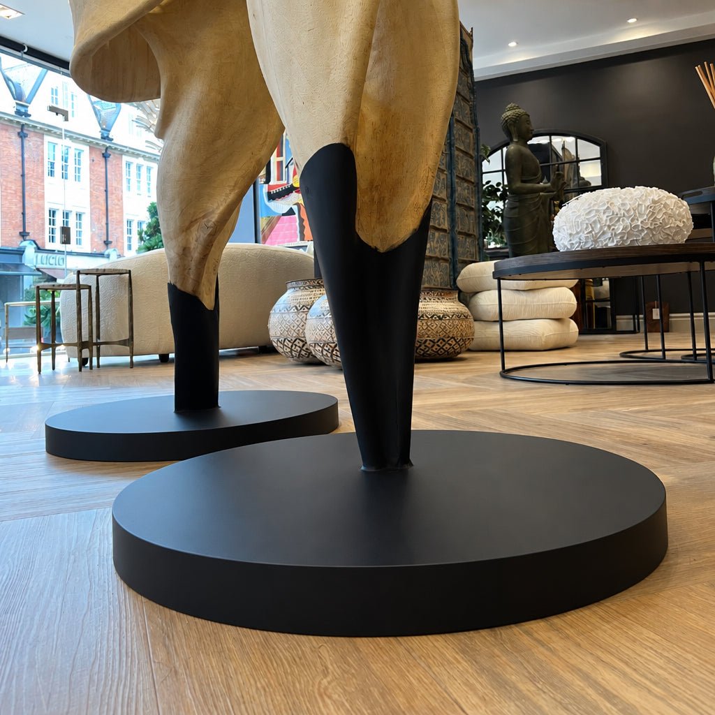 XL Suar Tree Root Sculpture - BARNBURY