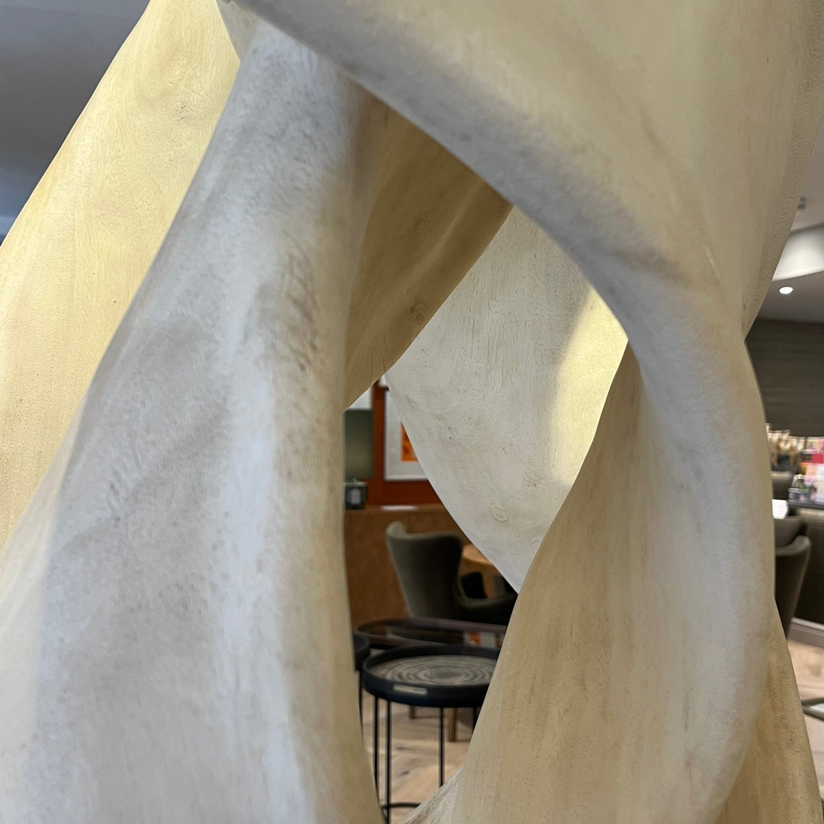XL Suar Tree Root Sculpture - BARNBURY