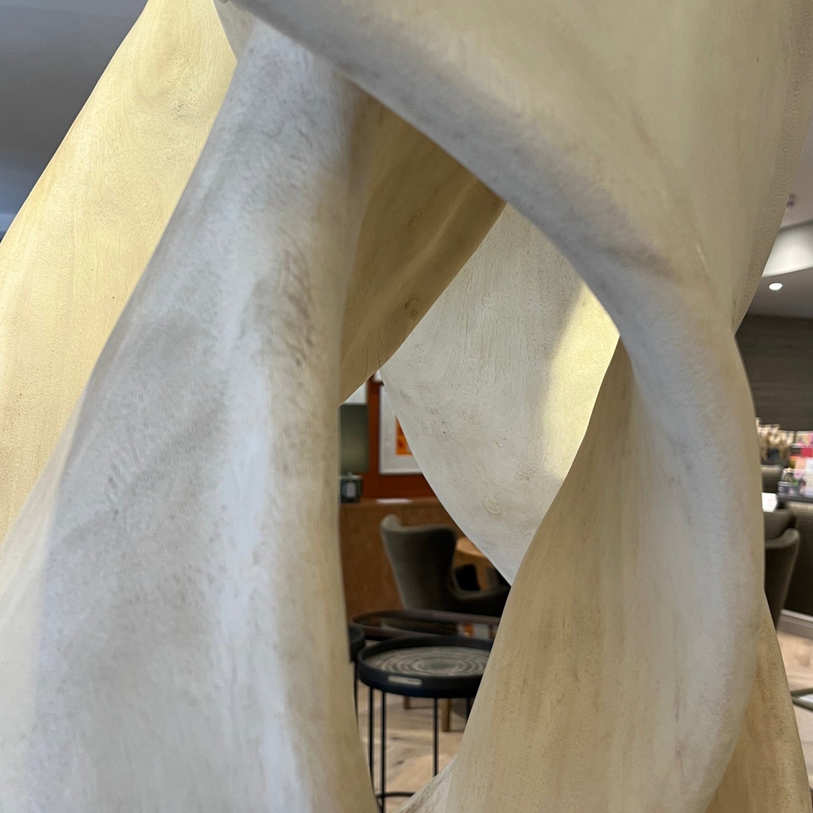 XL Suar Tree Root Sculpture - BARNBURY