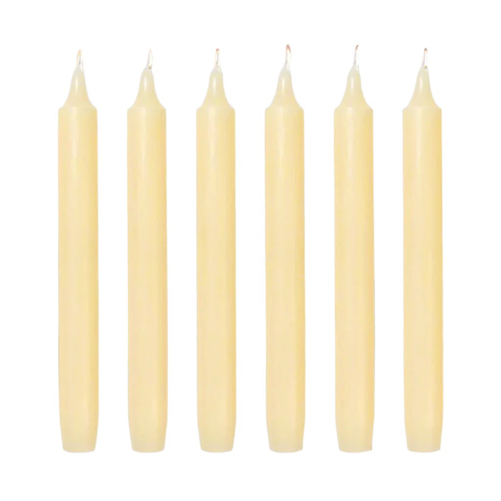 6 Trudon Ivory Madeleine Candles - BARNBURY
