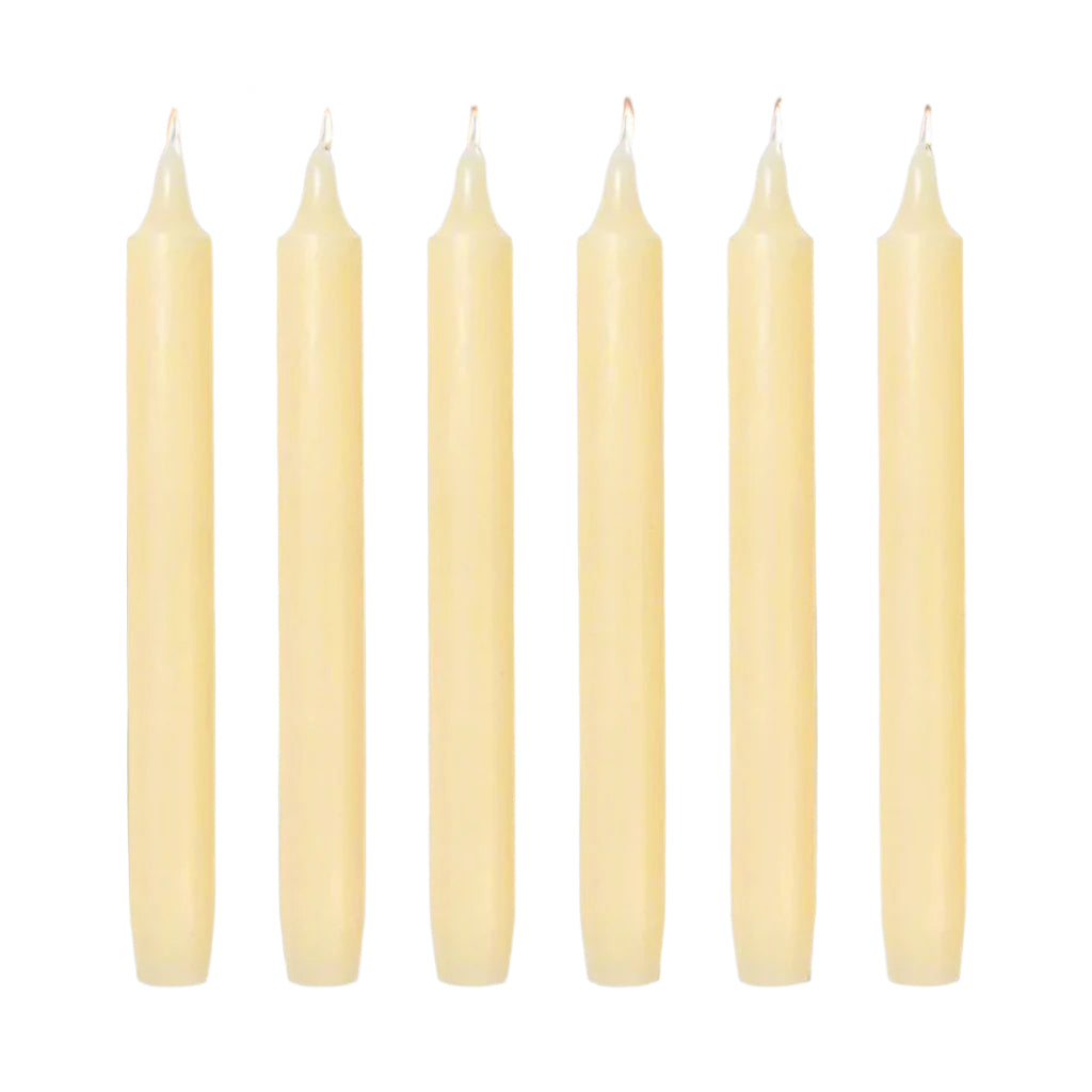 6 Trudon Ivory Madeleine Candles Candles Cire Trudon 