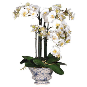 Faux Phalaenopsis Orchid in Ceramic Blue and White Footed Planter - Barnbury