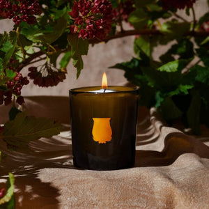 Cire Trudon Ernesto Scented Candle