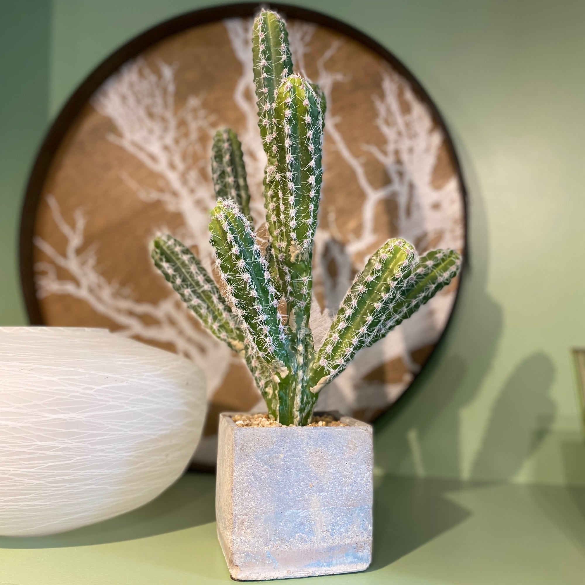 Faux Spiky Cactus in Square Planter