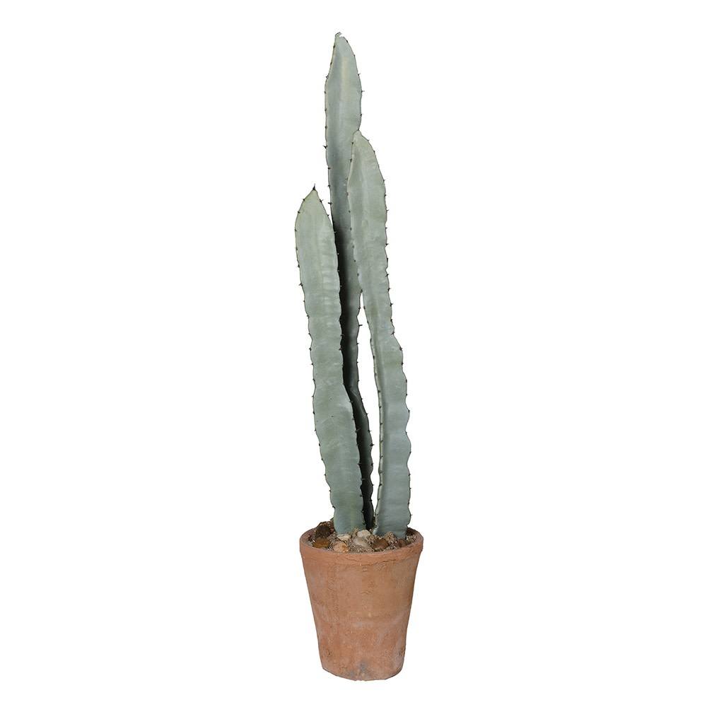 Faux Monstrosus Cactus in Terracotta Pot