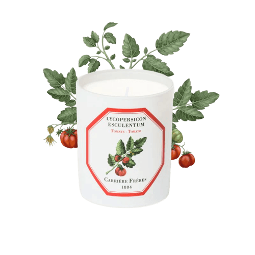 Carrière Frères Tomato Scented Candle Scented Candle Carrière Frères 