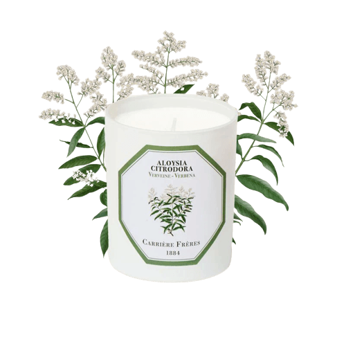 Carrière Frères Verbena Scented Candle Scented Candle Carrière Frères 