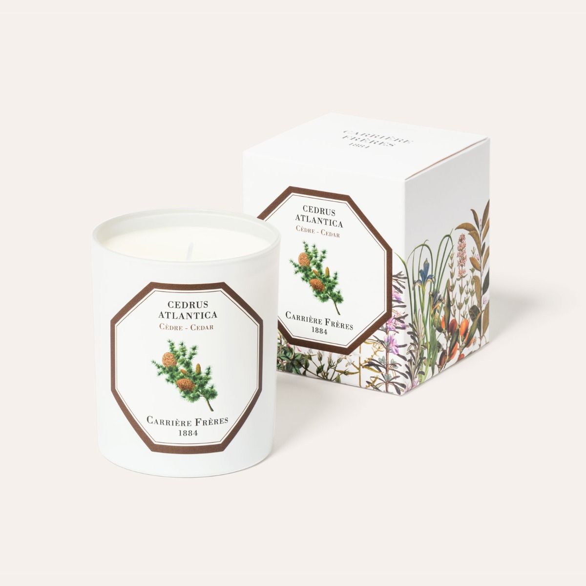 Carrière Frères Cedar Scented Candle Scented Candle Carrière Frères 