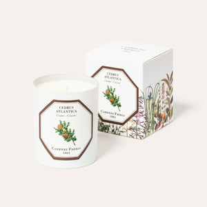 Carrière Frères Cedar Scented Candle - Barnbury