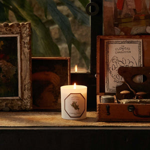 Carrière Frères Cedar Scented Candle - Barnbury