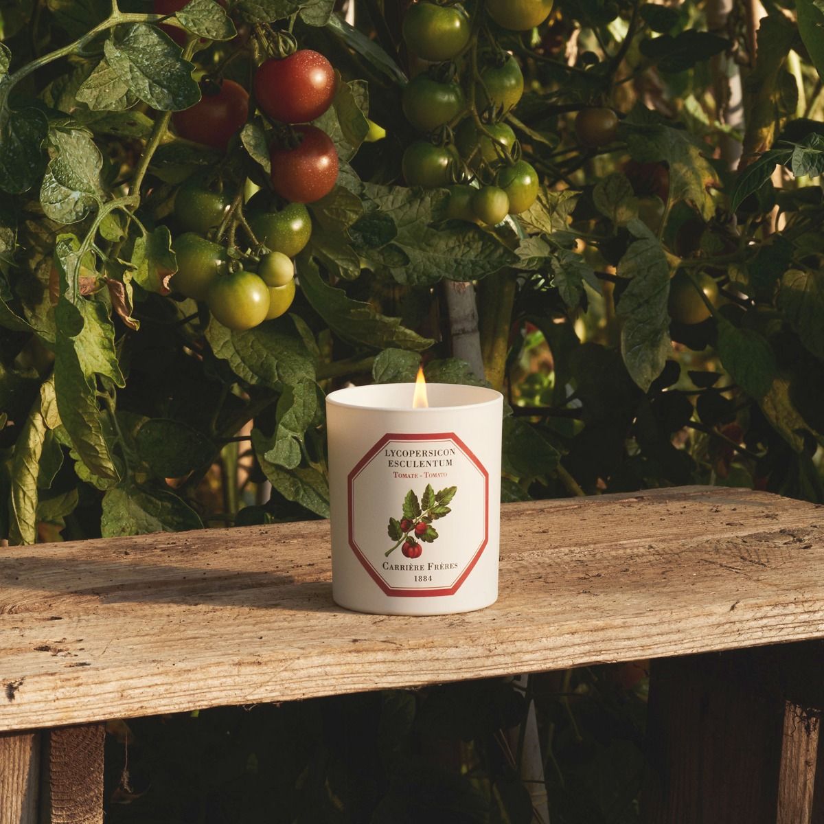 Carrière Frères Tomato Scented Candle Scented Candle Carrière Frères 