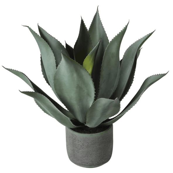 Faux Potted Aloe - BARNBURY
