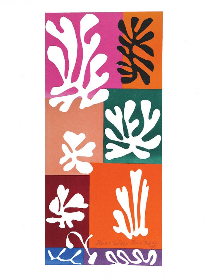 Henri Matisse - Fleurs de Neige - BARNBURY