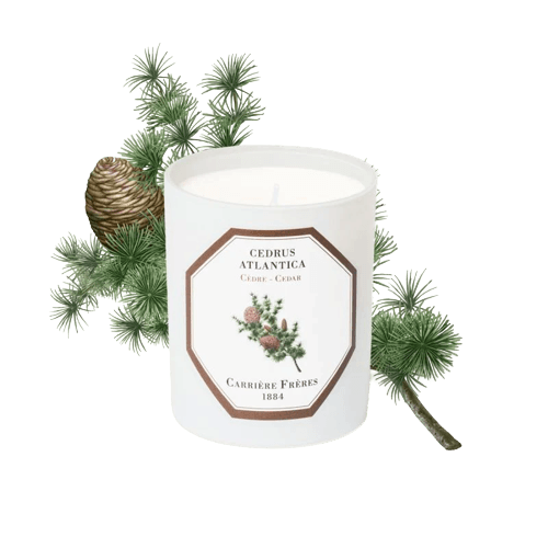 Carrière Frères Cedar Scented Candle Scented Candle Carrière Frères 