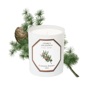 Carrière Frères Cedar Scented Candle - Barnbury
