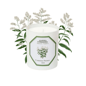 Carrière Frères Verbena Scented Candle - Barnbury