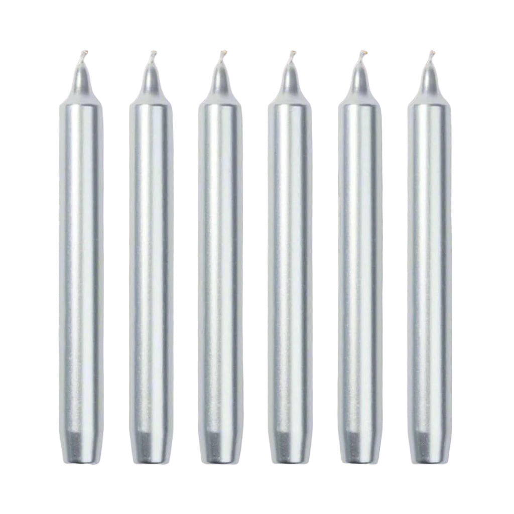 6 Trudon Silver Madeleine Candles Candles Cire Trudon 