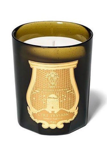 Trudon Spiritus Sancti Scented Candle - BARNBURY